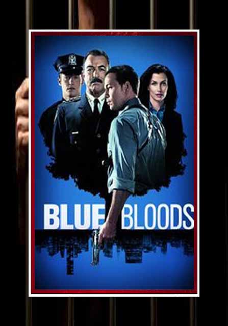 (image for) Blue Bloods - Season 8 and 9